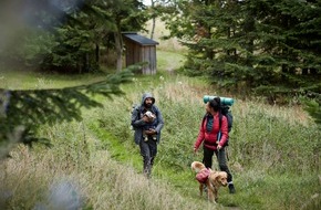 Booking.com B.V: Haustierfreundliches Reisen ist im Trend: Bei 4 von 10 deutschen Hundebesitzern bestimmt der Vierbeiner die Urlaubsziele