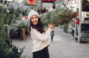 Verband Natürlicher Weihnachtsbaum e.V.: Echter Baum statt Plastik: Faktencheck zur Nachhaltigkeit / Warum der natürliche Weihnachtsbaum die klimafreundlichere Wahl ist
