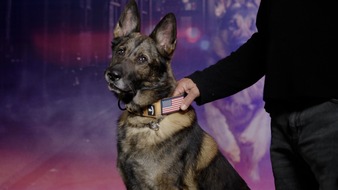 Jim Belushi und die Helden auf vier Pfoten: In neuer Doku-Reihe auf Crime + Investigation zeigt der Hollywood-Star Polizeihunde im Einsatz