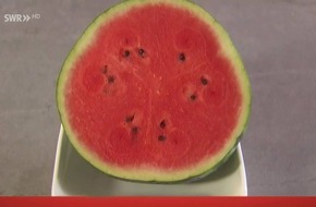 Melonen - erfrischend und vielseitig / "Marktcheck" im SWR Fernsehen