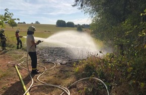 Polizeidirektion Pirmasens: POL-PDPS: Wiesenbrand