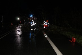 FW-WRN: TH_1 - Baum auf Fahrbahn