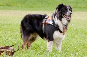 REDOG (Schweizerischer Verein Such- und Rettungshunde): Journée mondiale du chien de sauvetage (IMAGE)