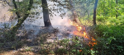 Feuerwehr Xanten: FW Xanten: Bodenfeuer in Xanten Vynen und Waldbrand in der Hees