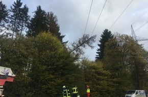 Freiwillige Feuerwehr Lügde: FW Lügde: Technische Hilfe / Baum in 30 KV Leitung