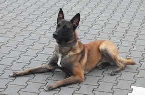 Hauptzollamt Osnabrück: HZA-OS: Zollhund Raptor erschnüffelte Amphetamin im Kraftstoffkanister; Osnabrücker Zoll nimmt Drogenkurier nach missglücktem Fluchtversuch fest