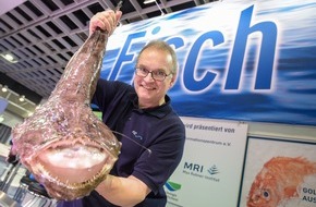 Messe Berlin GmbH: Grüne Woche 2019: Die Hingucker im Eisbett / Das FIZ aus Hamburg präsentiert in Halle 14.1 Fische, Krebs- und Weichtiere aus Ozeanen, Teichen, Flüssen und Seen