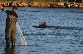 Universität Konstanz: Fischerherzen schlagen im selben Takt, PI Nr. 101/2025