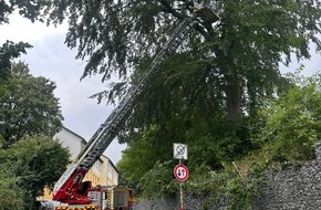 Feuerwehr Herdecke: FW-EN: Gefahren&auml;ste mit Drehleiter an der Walter-Freitag-Stra&szlig;e beseitigt - Blinder Alarm im Krankenhaus