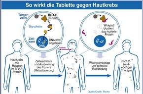 Roche Pharma AG: Seit Anfang 2012 ist ein sogenannter Signal-Blocker zur Therapie des metastasierten schwarzen Hautkrebses zugelassen (BILD)