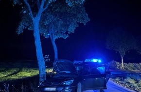 Polizei Coesfeld: POL-COE: Lüdinghausen, Westrup/ Auto kollidiert mit Baum