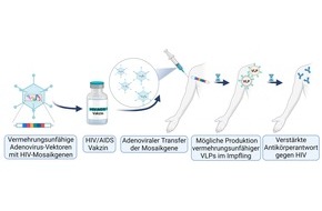 Technische Hochschule Köln: Mosaik-Impfstoff gegen HIV/AIDS näher charakterisiert