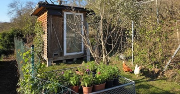 H&auml;user mit H&uuml;hnerstall &ndash; gefunden mit der KI-Suche