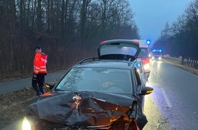 Landespolizeiinspektion Erfurt: LPI-EF: Wildschweine verursachen Verkehrsunfall
