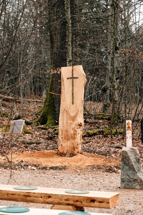 Friedhof im Wald - FriedWald R&uuml;mmingen er&ouml;ffnet
