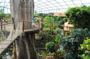 Leipzig Tourismus und Marketing GmbH: Gondwanaland: Ein tropisches Paradies in Leipzig (mit Bild)