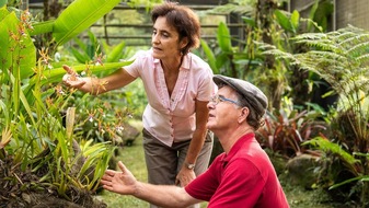 Regenwald in Brasilien nachhaltig wiederherstellen