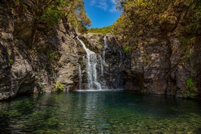 Die Top 5 Wasserfälle auf Madeira: Vom Brautschleier bis zur Tiefen Kehle