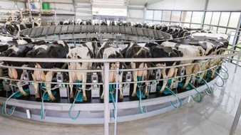 GEA DairyRotor T8600: New conventional milking parlor with digital control