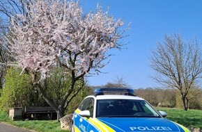 Polizeidirektion Neustadt/Weinstra&szlig;e: POL-PDNW: Stra&szlig;enverkehrsgef&auml;hrdung beim &Uuml;berholen - Polizei sucht Motorradfahrer