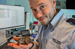 Polizei Bochum: POL-BO: Flauschiger Gast in der Polizeiwache Wanne-Eickel