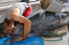 GRD Gesellschaft zur Rettung der Delphine e.V.: Delphinschutz weltweit: Die Gesellschaft zur Rettung der Delphine e.V. feiert 30-jähriges Jubiläum