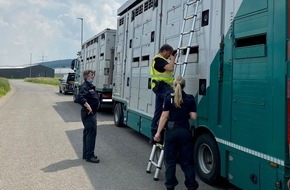 Polizeiinspektion Nienburg / Schaumburg: POL-NI: Bückeburg: Polizeikommissariat Bückeburg beendet seine Verkehrssicherheitswoche