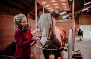 Julia Greb: Fit durch die kalte Jahreszeit: Pferdetherapeutin gibt 5 Tipps, wie Pferde im Winter richtig bewegt und warmgehalten werden