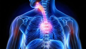 Helmholtz Munich: New Endoscopy Technology Enables Early Detection of Esophageal Cancer