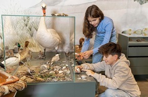 Naturmuseum St. Gallen: Halbjahresprogramm 2023: Von rollenden Steinen und tierischen Gipfelstürmern