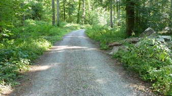 Polizeipr&auml;sidium Ludwigsburg: POL-LB: Deckenpfronn: Betonbruchst&uuml;cke im Gemeindewald entsorgt