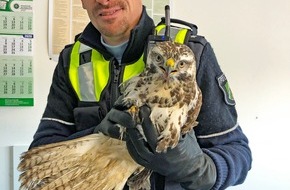 Polizei Mettmann: POL-ME: Tierischer Einsatz: Polizei rettet "besonderen Räuber" - Mettmann - 1912022