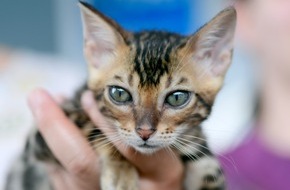 Messe Erfurt: Das wird tierisch gut!