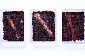 Entscheidung am 19. November / Die nominierten Teams für den Deutschen Zukunftspreis 2025 - Team II