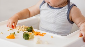 Deutsche Haut- und Allergiehilfe e.V.: Babyernährung: Baby-led Weaning für allergiegefährdete Babys?