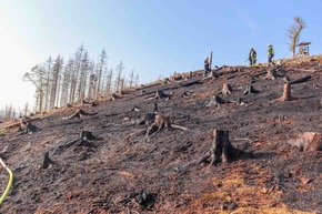 FW-OE: Erster Waldbrand für die Feuerwehr Lennestadt
