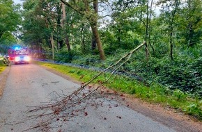 Freiwillige Feuerwehr Hünxe: FW Hünxe: Baum auf Telefonleitung