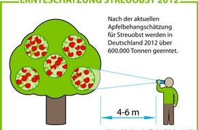 VdF Verband der deutschen Fruchtsaft-Industrie: Ernteschätzung 2012: Über 600.000 Tonnen Streuobstäpfel erwartet Alternanz im Streuobst gebrochen (BILD)