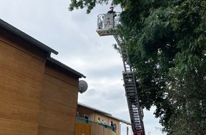 Feuerwehr München: FW-M: Esche in Schieflage (Oktoberfest)