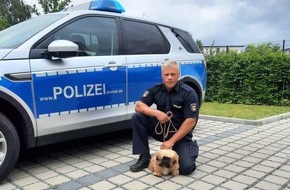 Polizeiinspektion Anklam: POL-ANK: Ein Herz für Mensch und Tier - Polizist gibt nicht auf und findet gestohlenen Hund wieder