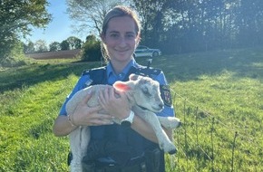 Polizeiinspektion Zweibrücken: POL-PIZW: Tierretter in der Not