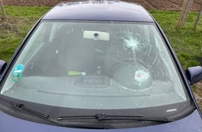 Polizeidirektion Landau: POL-PDLD: Sachbeschädigung an PKW