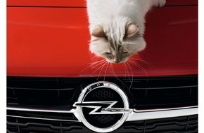 Opel Automobile GmbH: Karl Lagerfeld für Opel: Der Corsa-Fotokalender 2015 ist da (FOTO)