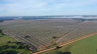 Sustainable EU Almond: Die iberische Mandel setzt auf Frankreich und Deutschland, um in den kommenden Jahren dank ihrer größten Trümpfe Nachhaltigkeit und Qualität auf dem europäischen Markt zu wachsen