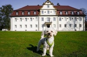 Schlosshotel Friedrichsruhe: Wald & Schlosshotel Friedrichsruhe:  Auf vier Pfoten unter fünf Sternen rundum verwöhnt