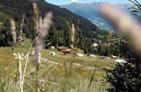 Kunst am Berg in Serfaus-Fiss-Ladis - VIDEO