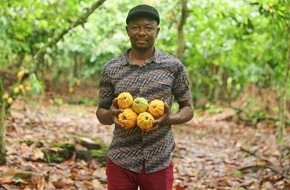 Fairtrade Deutschland e.V.: Fairtrade-Kakaoabsatz 2024 stabil – Strategie für existenzsichernde Einkommen im Kakaoanbau