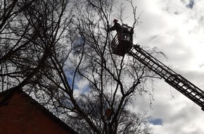 Feuerwehr Mülheim an der Ruhr: FW-MH: Sturmtief "Klaus" - Zwischenbilanz der Feuerwehr Mülheim