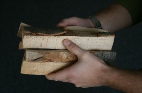 Holzenergie Schweiz: Holzenergie Schweiz: Heizen mit 2 Kilo Holz pro Tag