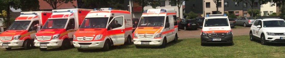 Feuerwehr Mülheim an der Ruhr: FW-MH: Neun verletzte Schulkinder durch Eichenprozessionsspinner